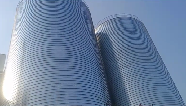 高明2座混凝土高架卷板仓